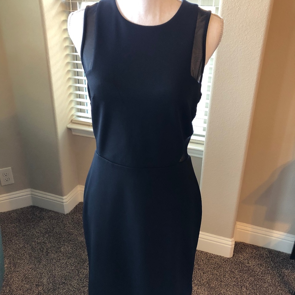 Express Dress w/ Mesh Detail